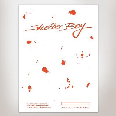 Shelter Boy Collage #2 Poster