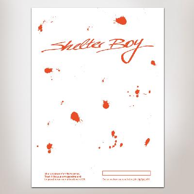 Shelter Boy Collage #4 Poster