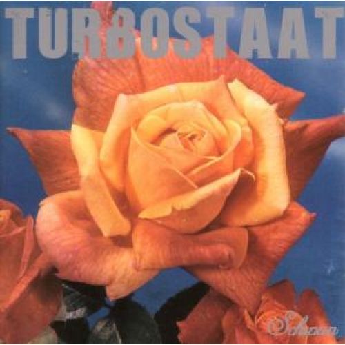 Turbostaat Schwan LP